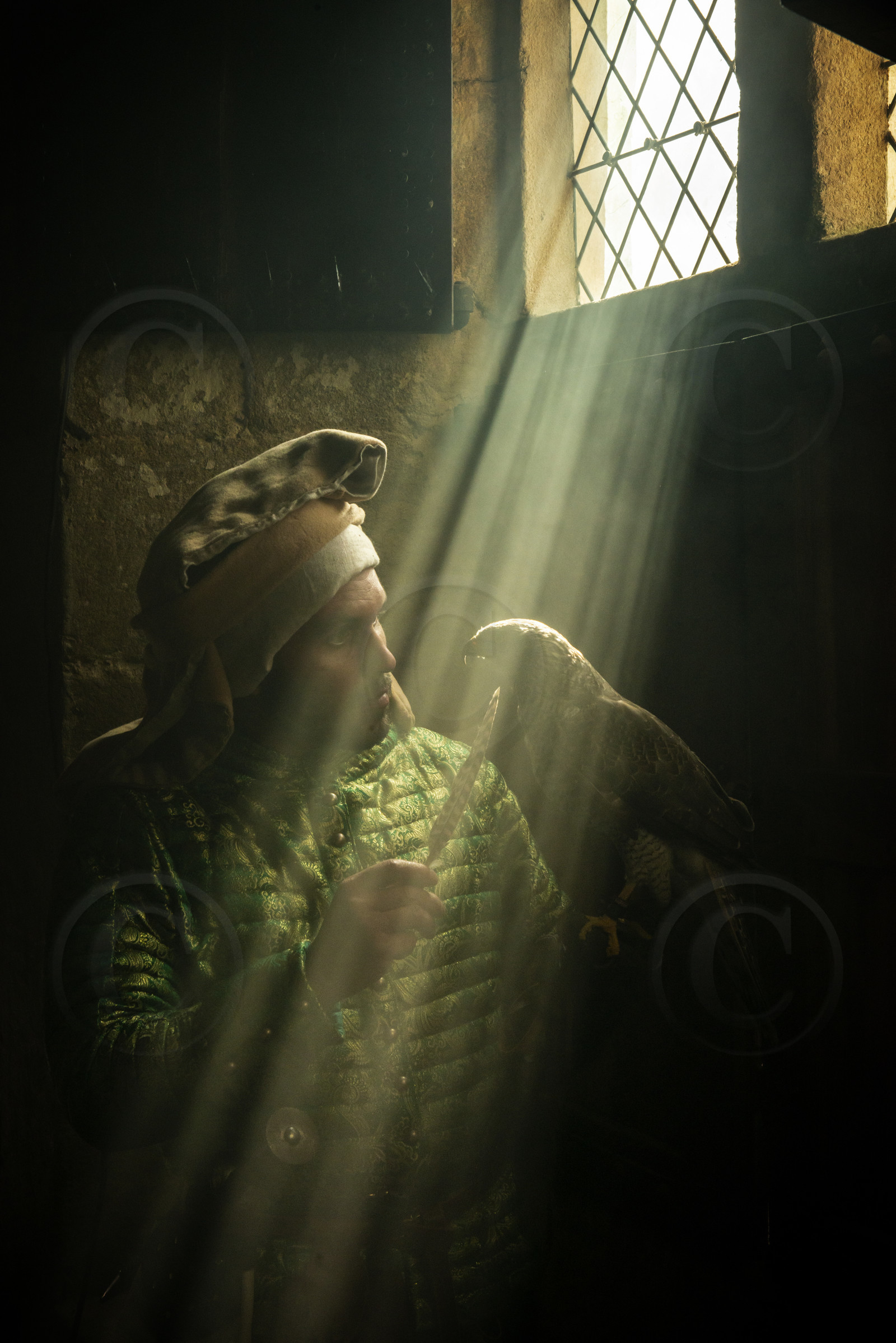 1355 – Jean de Sérent, fauconnier du roi