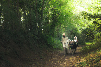 1127 - Labour des champs