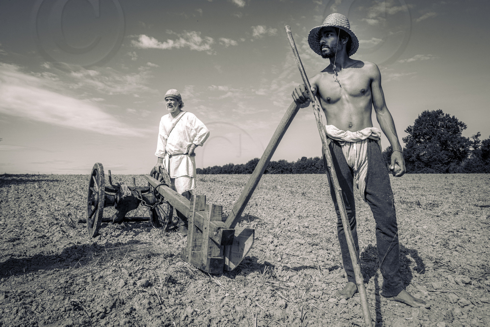 1127 - Labour des champs