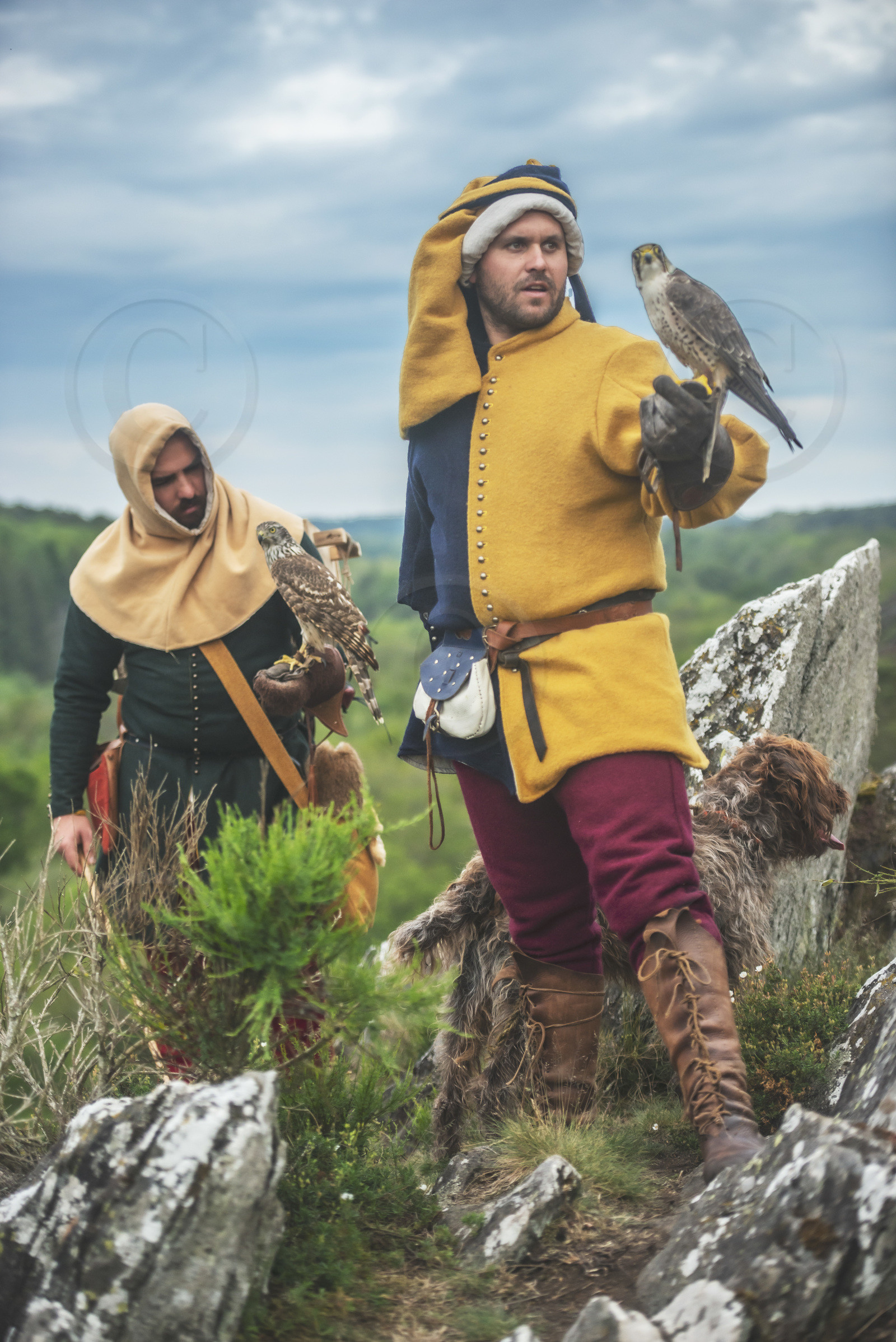 1355 - Le fauconnier du roi